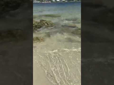 SHORTS | Beach ASMR Waves