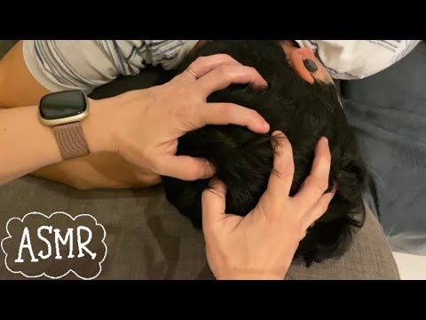 ASMR⚡️Very gentle scalp massage! (LOFI)