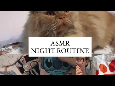 ASMR | My Night Routine 🌝🌻