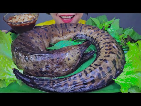 ASMR HUGE Marbled Eel , EATING SOUNDS | LINH-ASMR