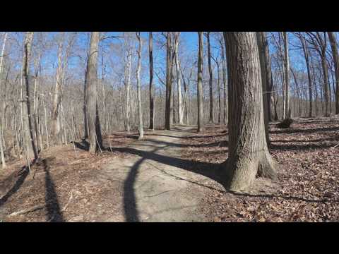 ASMR Hiking [Binaural] Beautiful Winter Day Hike with Peaceful Walking Sounds (Part 2)