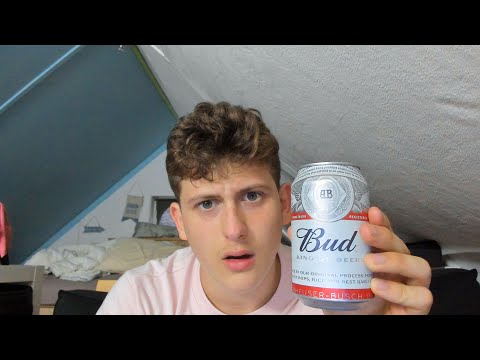 ASMR Tasting Budweiser ( 18+ )