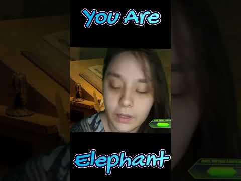 ASMR You are elephant - binaural visual martial arts parable (Tukong)