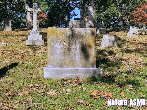 ASMR Walk in the Cemetery, No Talking, Windchimes, Nature Sounds, Camera Sounds