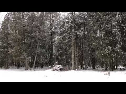 ASMR Snow Falling|Lo-Fi