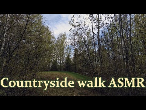 A walk in Canadian forest |ASMR woodland countryside ambiance | crinkles, footsteps, birds cheering|