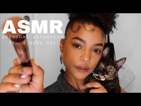 ASMR FT. A BABY CAT : REPEATING SHHH