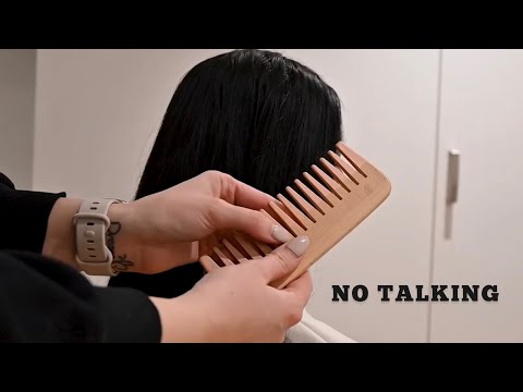 ASMR | Brushing my friend's silky black hair ❤️ (No talking, hair play, hair brushing)