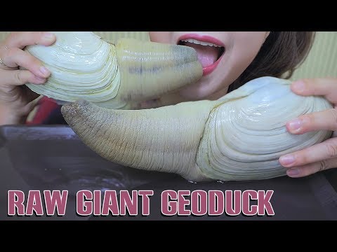 ASMR RAW GIANT GEODUCKS WITH KIMCHI (EXOTIC FOOD) ETREME CHEWY EATING SOUNDS | LINH-ASMR