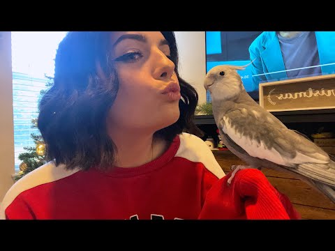 ASMR with my bird, bird nibbles, crinkles and soft whispers | ASMRbyJ