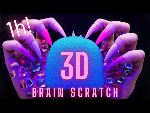 Asmr Mic Scratching - Brain Scratching | Brain Melting Asmr No Talking for Sleep with Long Nails 1H