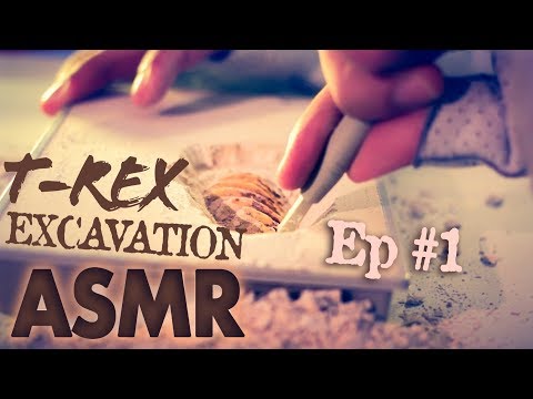 ASMR T-Rex Excavation ⛏️EP#1 😴NO TALKING for SLEEP