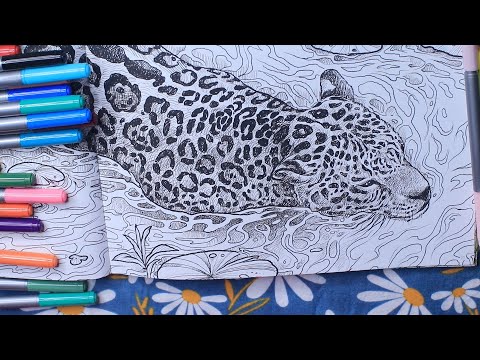 JAGUAR DOUBLE ENDED MARKERS COLORING ASMR CHEWING GUM