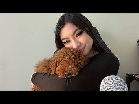 ASMR with my new puppy🫶