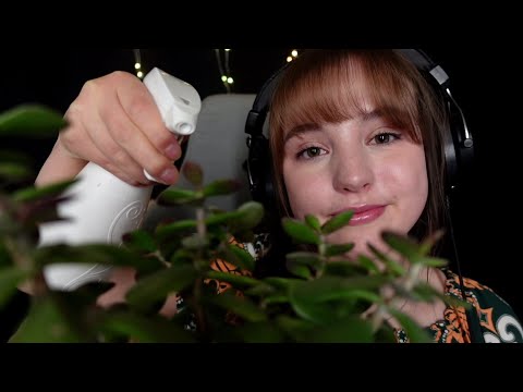 ASMR POV You are my houseplant 🌵 And I take care of you 💤💚 Roleplay