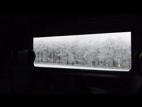 Train Journey Across Winter Forest ASMR Ambience