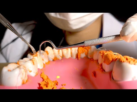 치과 ASMR 🦷 | 섬세한 치석제거 | 스케일링 | 롤플레잉 | Dentist Cleaning Your Teeth 🦷 [KOR ENG]