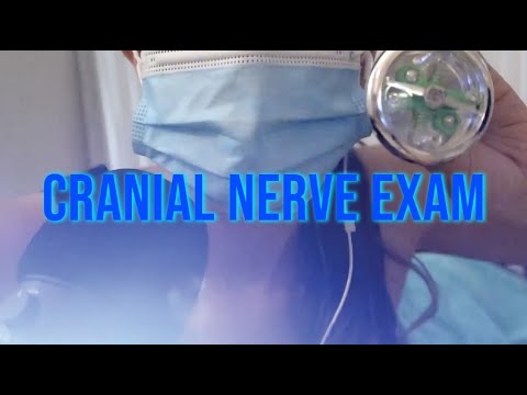 ASMR Cranial Nerve Exam but I don't know what I'm doing (chaotic, unpredictable)