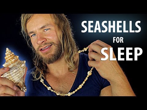 Seashell Triggers For Sleep 🐚 [ASMR]