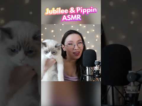 When you have to babysit your cat while filming #ASMR 😂 #asmrshorts #shorts