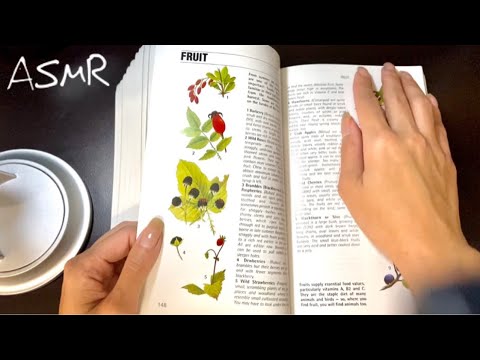 ASMR Tapping, Tracing & Page Turning Tingles 💥