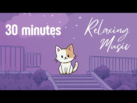 ASMR 30 minutes relaxing music to study or being cozy at home