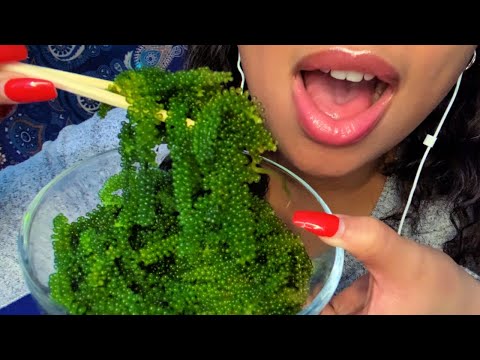 ASMR | Sea Grapes  🌊 Crunchy Popping Sounds!