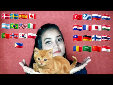 ASMR "Cute Cat" in 30 Different Languages