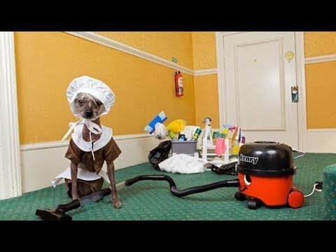 [ASMR] The horror of crappy erotica: Maid on Fire