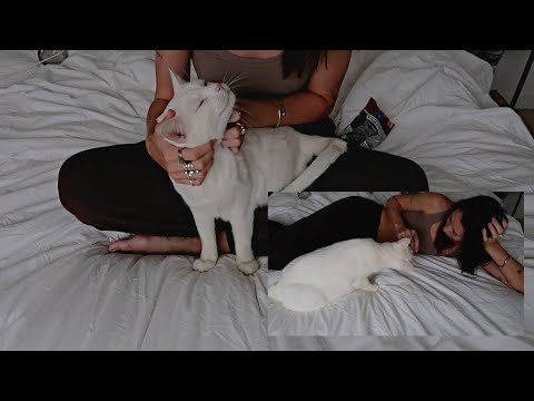 ASMR a girl and her cat hanging out (petting, scratching, purring, treats, soft whisper)