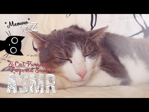 ASMR Français ~ Cat purring & Layered sounds / ronronnements + sons bouche/mains