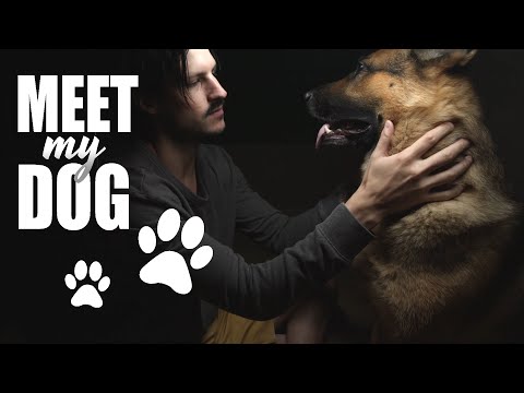 [ASMR] 🐕 Meet My Dog | Petting My Pup | German Shepherd