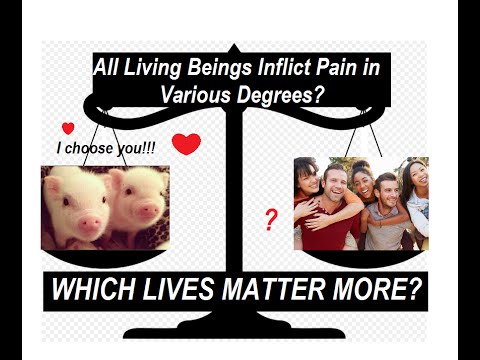 Questioning My Belief: Is it Wrong to Value an Animal's Life Over Human Life?