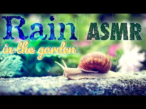 ASMR RAIN ☔Relaxing Sounds of Rain in the Garden (Assortment) 🐌Nature