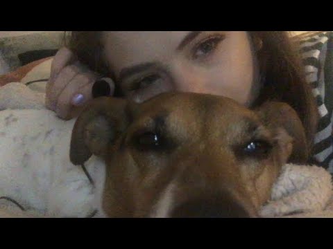 🐶ASMR WITH MY DOG!- Gum Chewing, Whispered Ramble, Mouth Sounds, Scratching, Lofi, Dog Snores 🐶