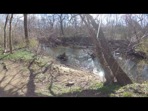 ASMR Hiking Binaural Blue Skies Next to a Quiet River (Full Video)