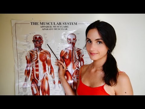 A very relaxing lesson ⨀ ASMR ⨀ Anatomy of the Face • Soft Spoken