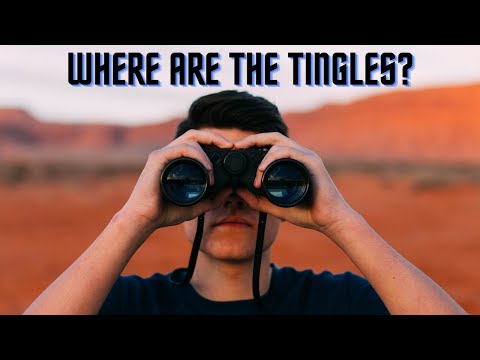 Helping You Find the Tingles with ASMR INAUDIBLE WHISPERS ~ASMR GeoGuessr Gameplay~ (VERY TINGLY)