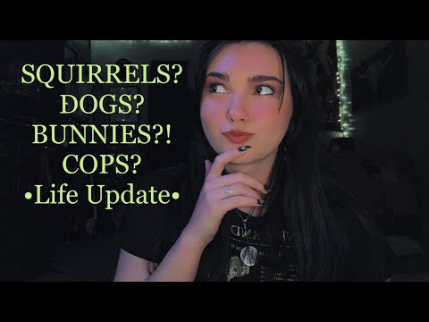 Whispered Ramble • Squirrels, Dogs, Bunnies … Cops! ASMR Life Update 🍿