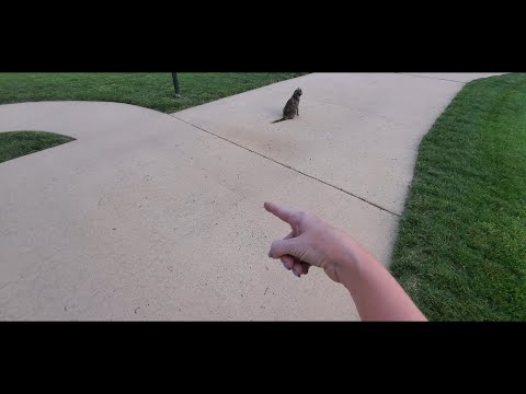 Vlog | The Worm Segment Mystery Continues