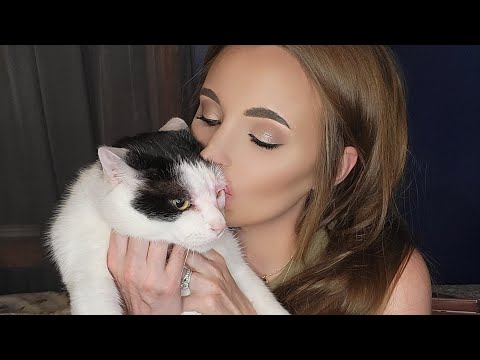 ASMR With My Cats 🐈 😻 🐈‍⬛️