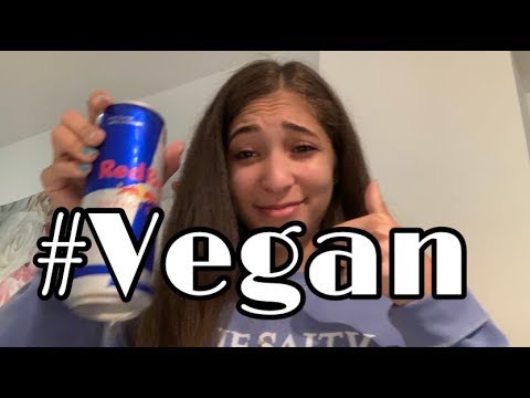 went vegan for a day... this is what happened