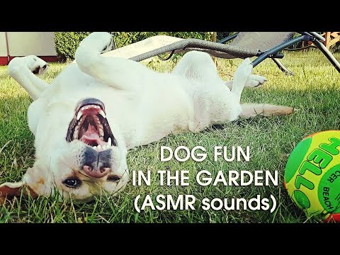DOG FUN IN THE GARDEN (relaxing sounds)(ASMR)