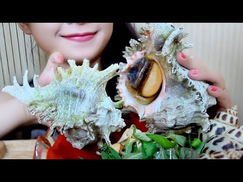 ASMR Giant sea snail, chewy EATING SOUNDS | LINH-ASMR