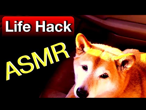 Be Your Best Self Life Hack - ASMR