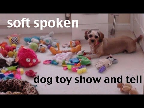 soft spoken show and tell dog toys in dog playroom cute tingles asmr