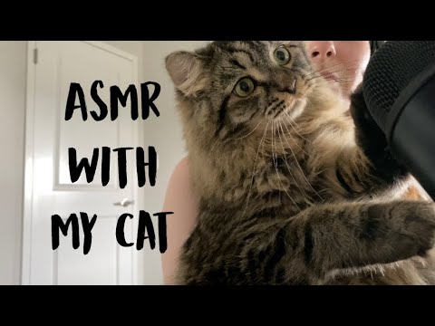 ASMR WITH MY CAT (purring and biting)