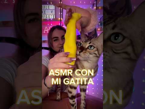 TE HACEMOS DORMIR💤 🐈 #asmr #catvideos #catshorts #asmrsound