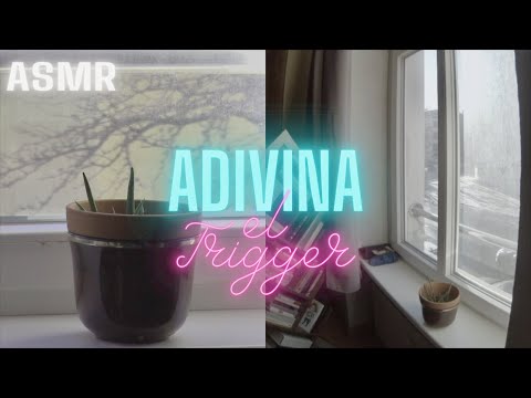 ASMR ⎜ Petra by the window: Adivina el Trigger 🎧