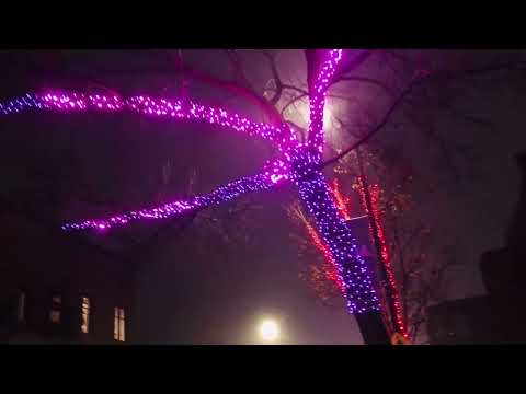 ASMR holiday lights and whisperings so lovely